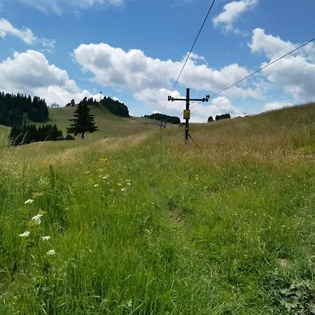 Daire Apartmanovy Dom Kamzik Apt. 16 Donovaly